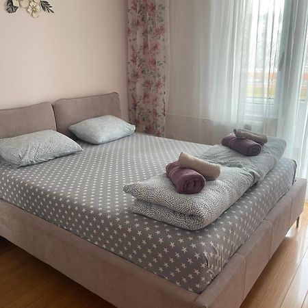 Apartment Elefant 021 ノヴィ・サド エクステリア 写真