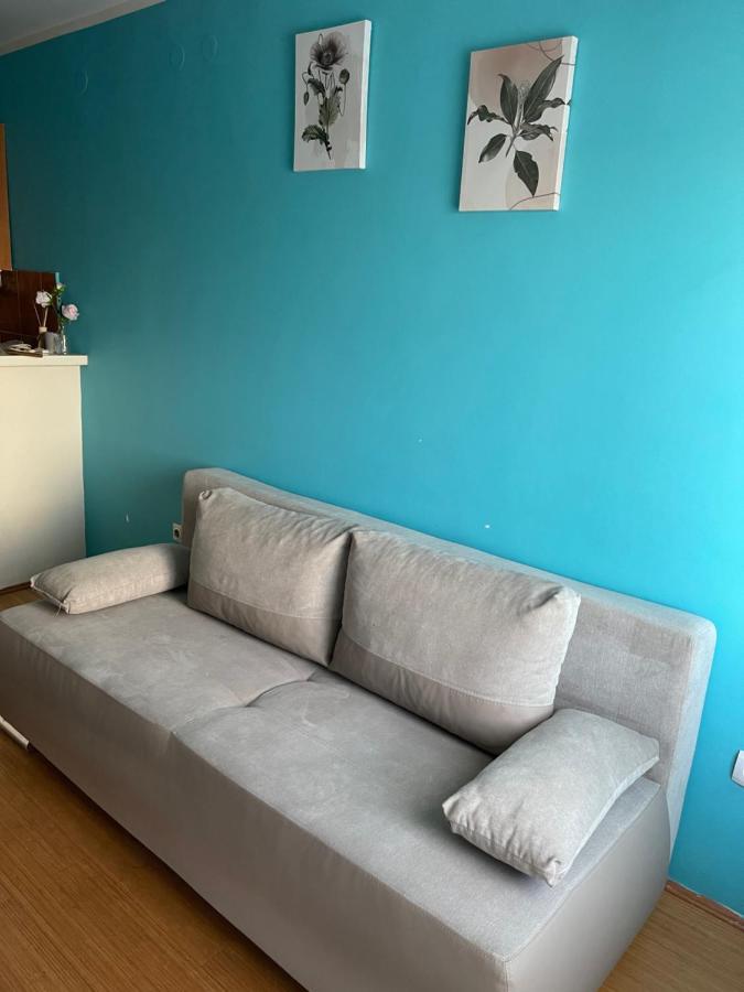 Apartment Elefant 021 ノヴィ・サド エクステリア 写真