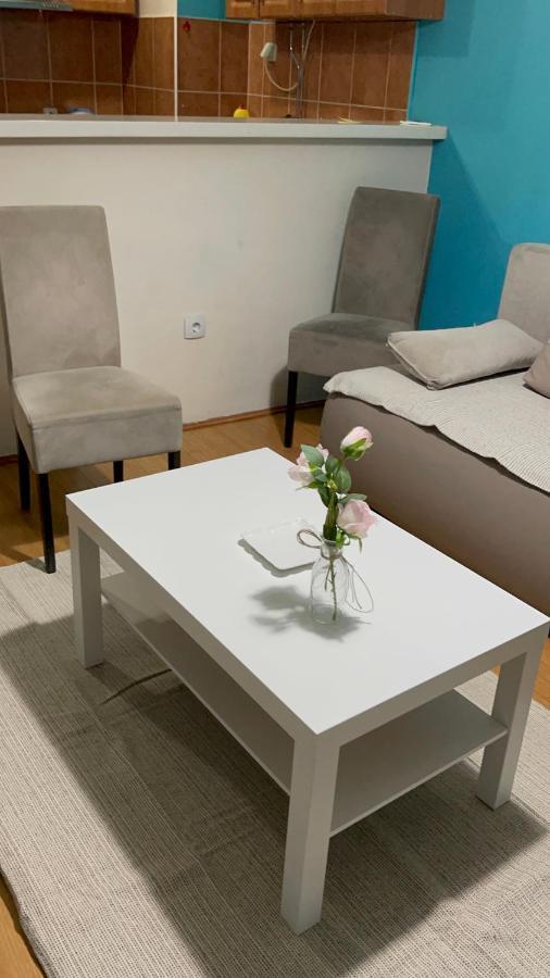 Apartment Elefant 021 ノヴィ・サド エクステリア 写真