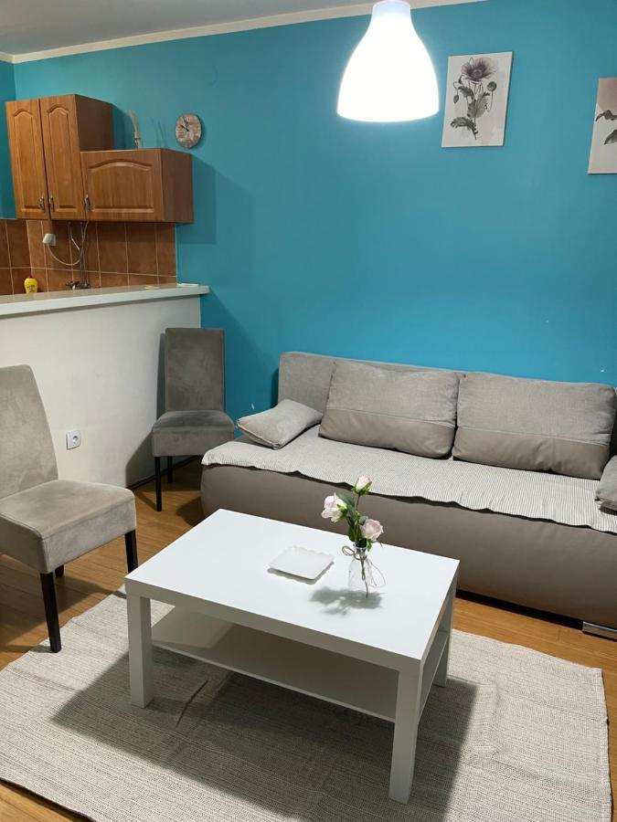 Apartment Elefant 021 ノヴィ・サド エクステリア 写真