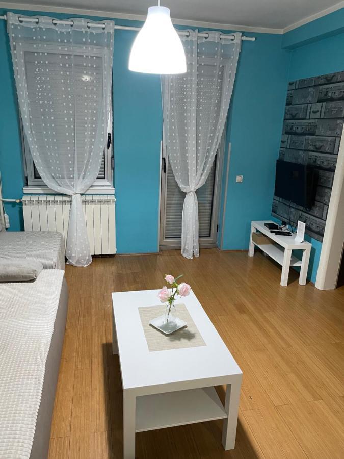 Apartment Elefant 021 ノヴィ・サド エクステリア 写真