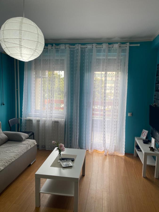 Apartment Elefant 021 ノヴィ・サド エクステリア 写真