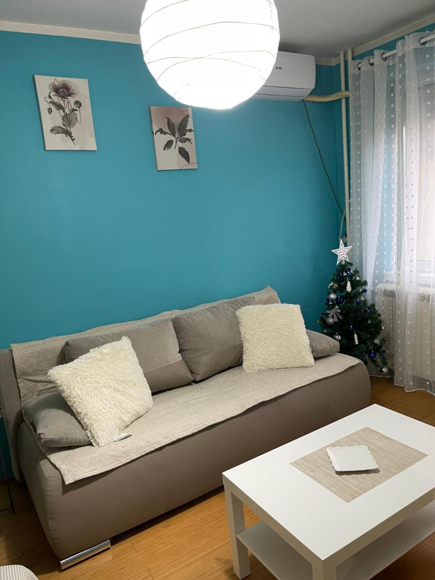 Apartment Elefant 021 ノヴィ・サド エクステリア 写真
