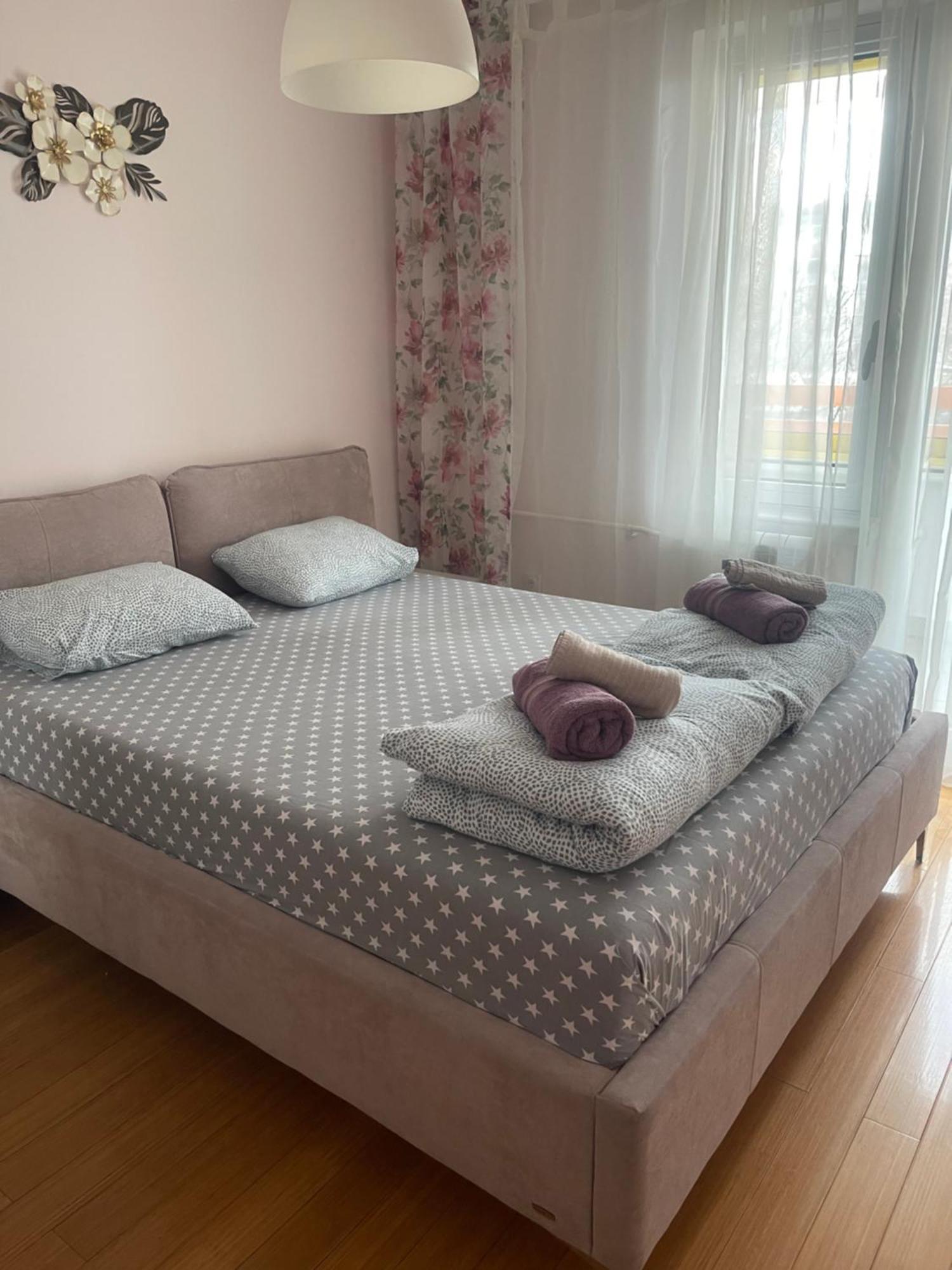 Apartment Elefant 021 ノヴィ・サド エクステリア 写真